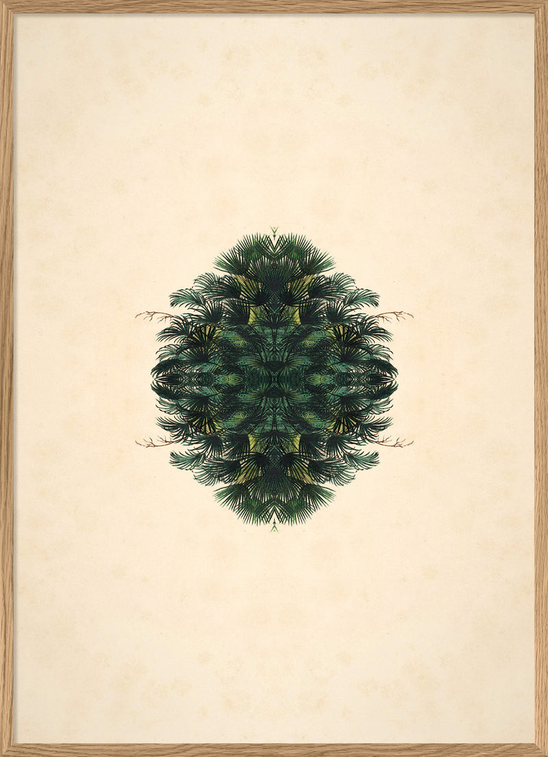 Botanical Reflection Limited Edition Print