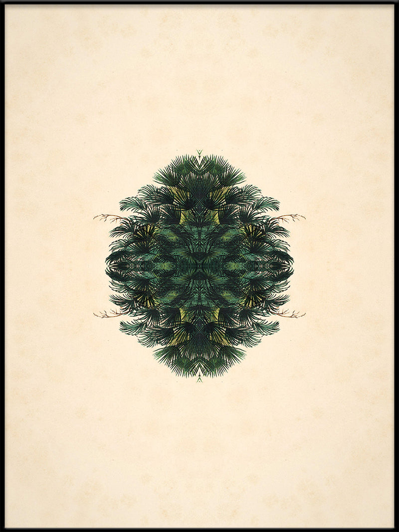 Botanical Reflection Limited Edition Print