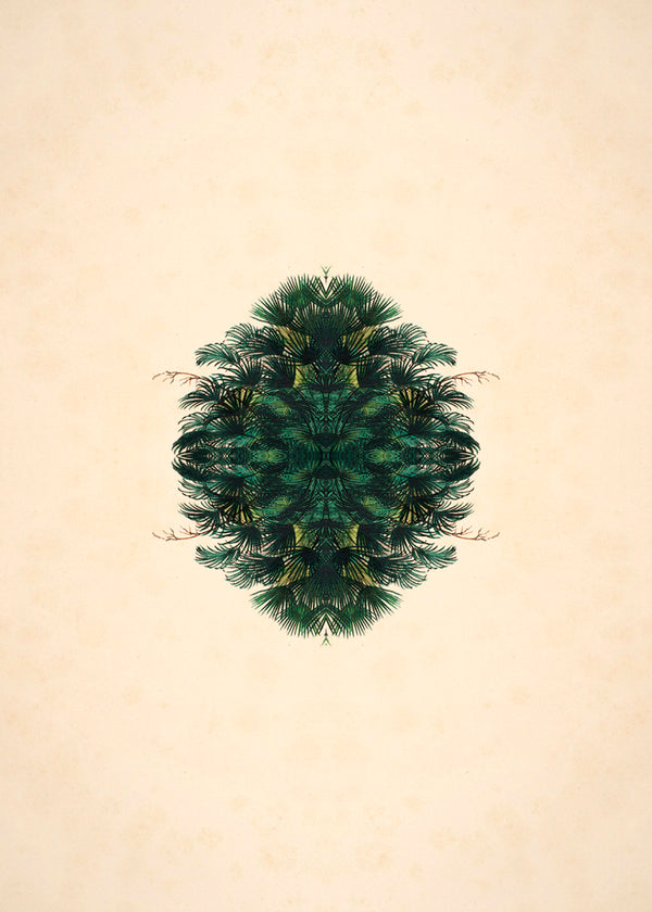 Botanical Reflection Limited Edition Print