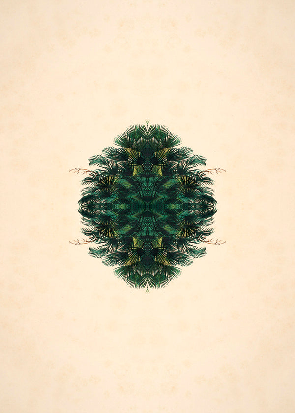 Botanical Reflection Limited Edition Print