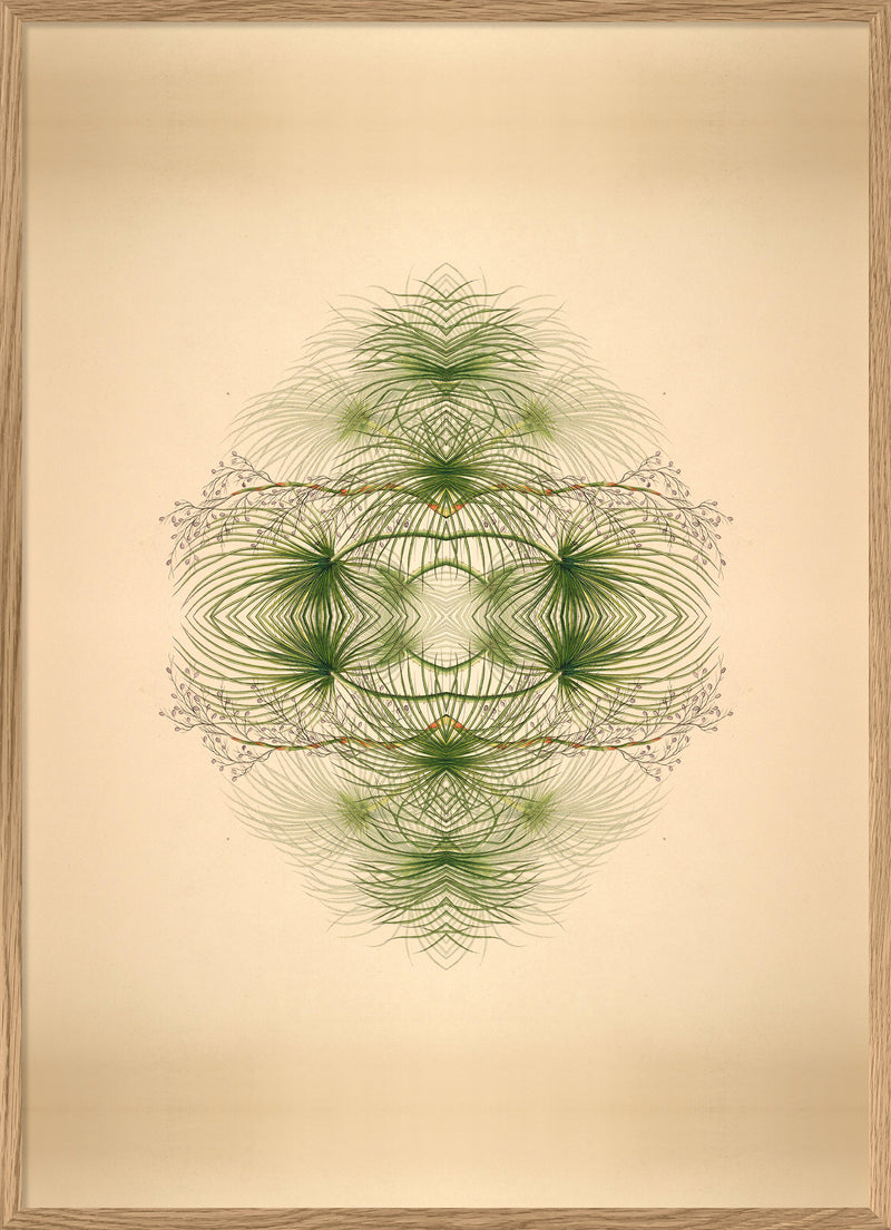 Botanical Reflection Limited Edition Print