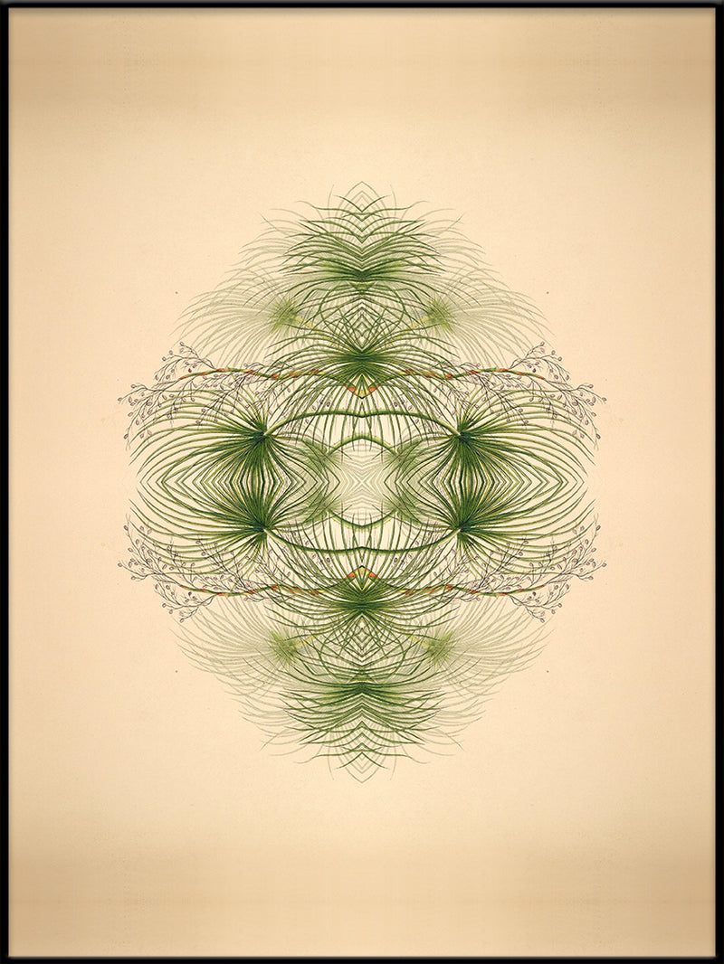 Botanical Reflection Limited Edition Print