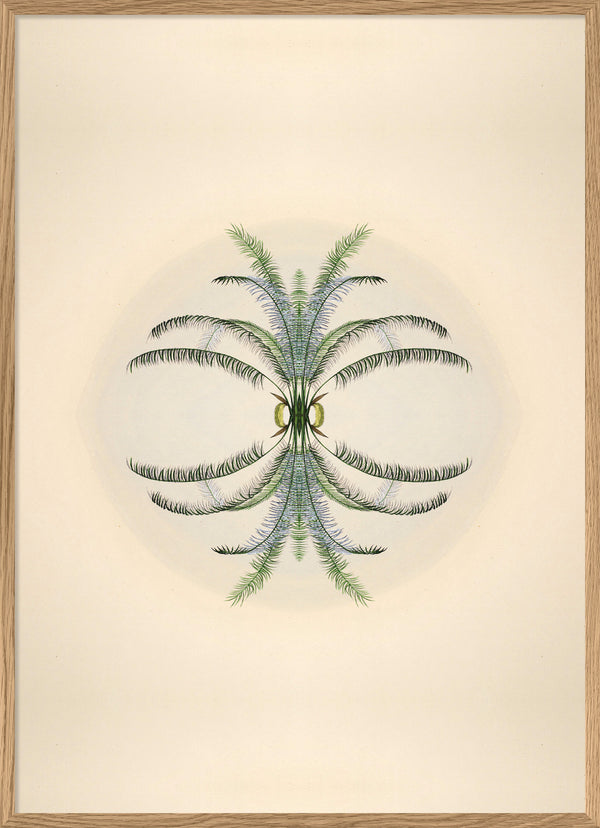 Botanical Reflection Limited Edition Print