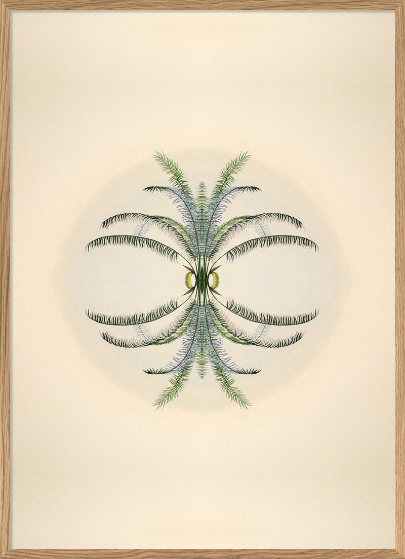 Botanical Reflection Limited Edition Print