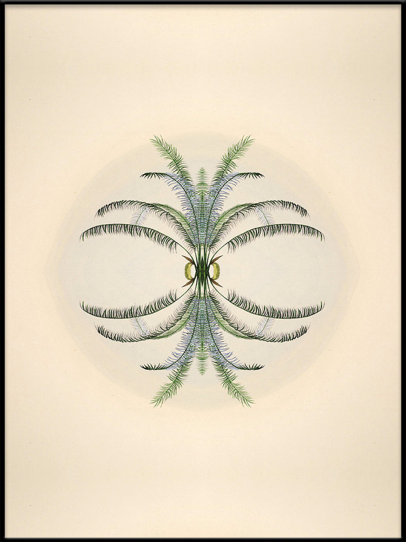 Botanical Reflection Limited Edition Print
