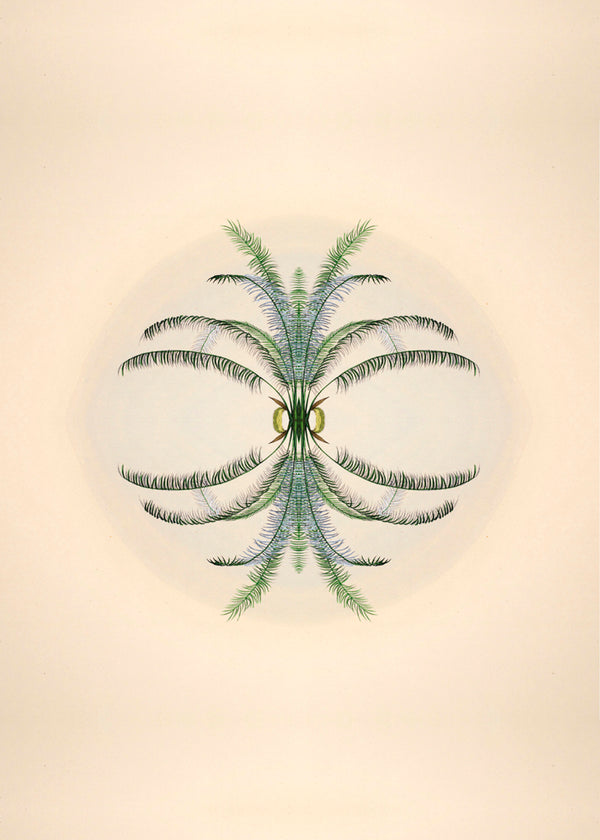 Botanical Reflection Limited Edition Print