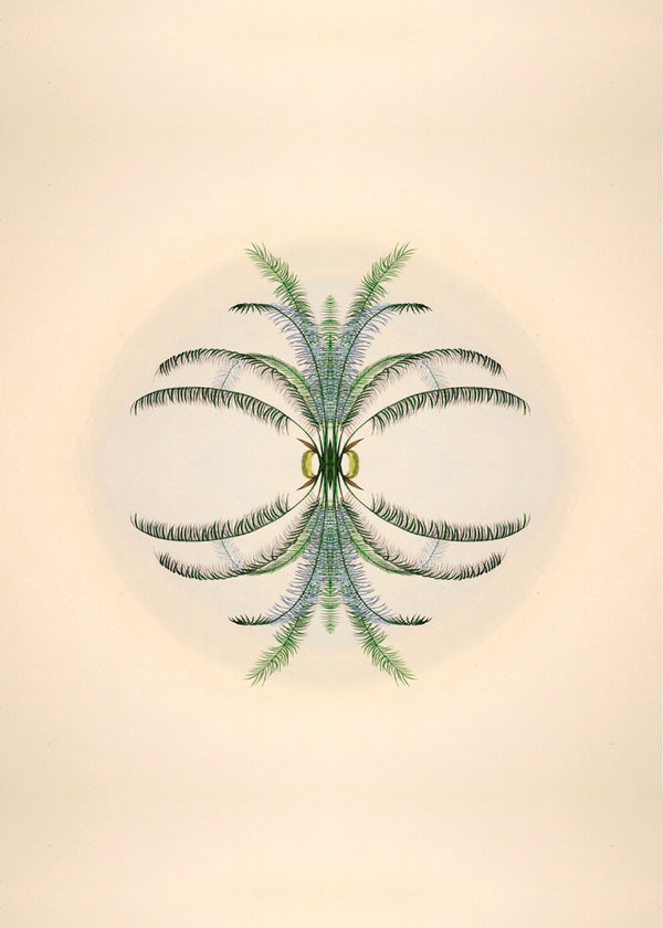 Botanical Reflection Limited Edition Print