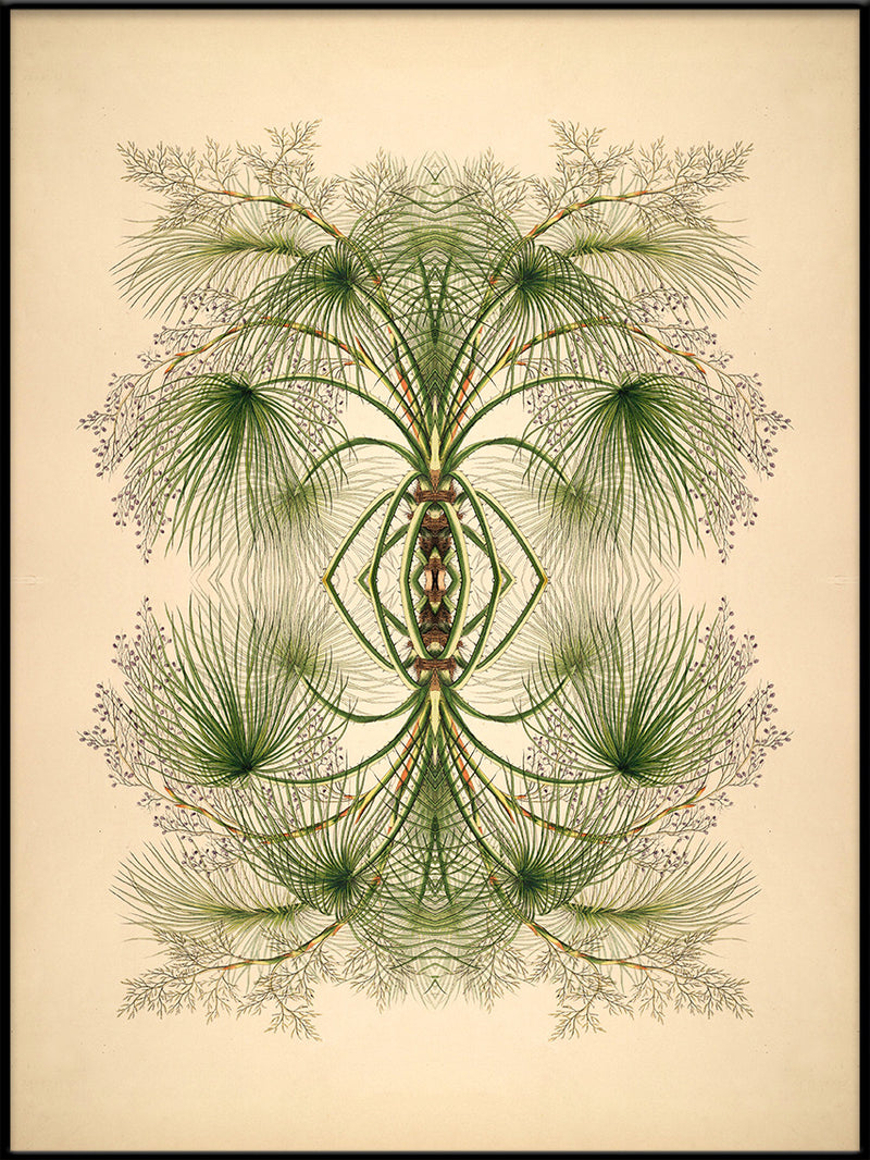 Botanical Reflection Limited Edition Print