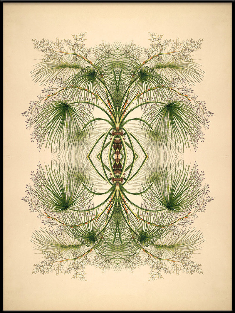 Botanical Reflection Limited Edition Print