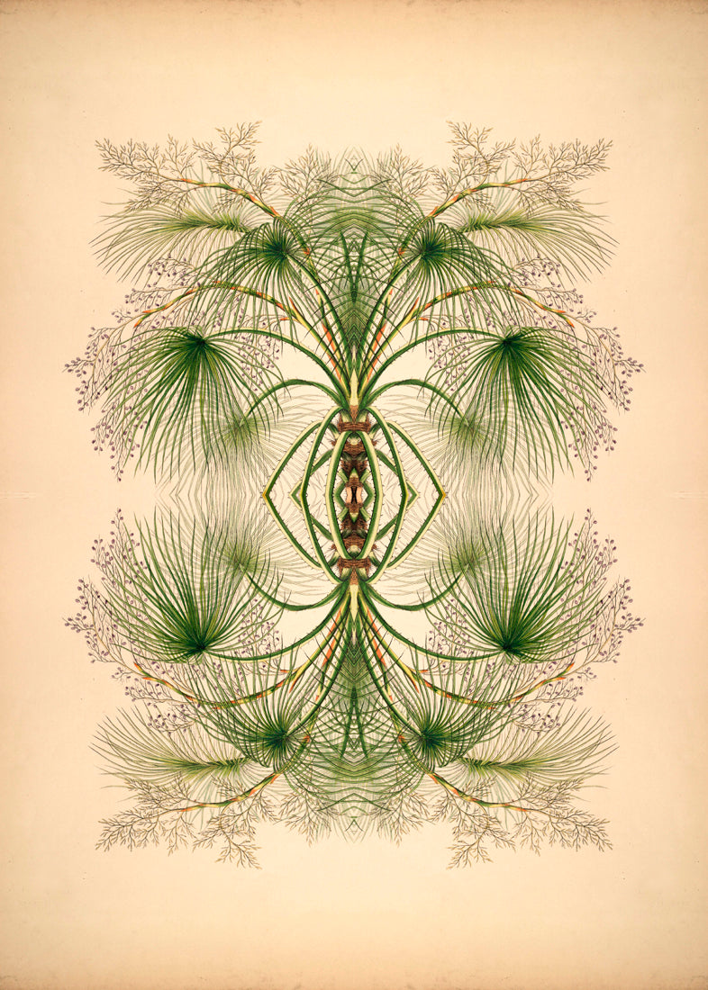 Botanical Reflection Limited Edition Print