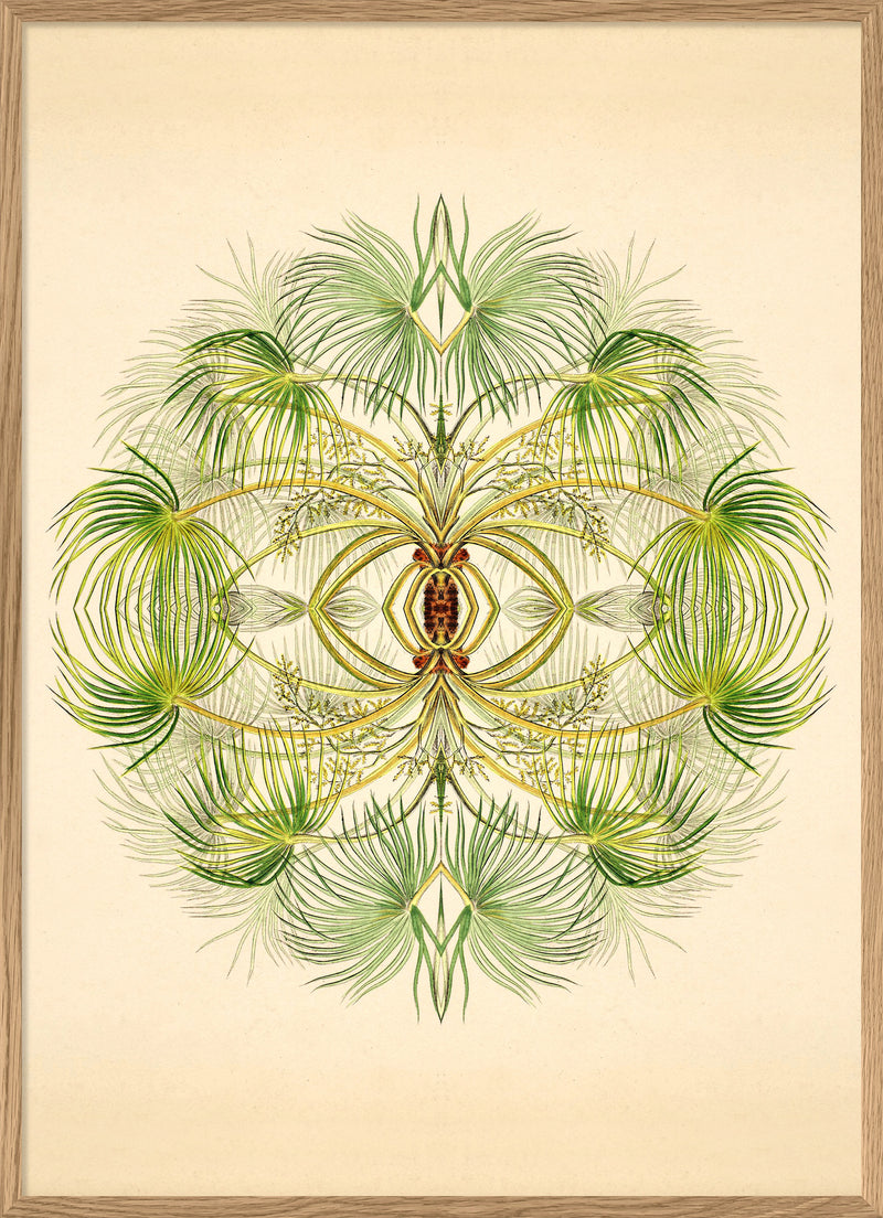 Botanical Reflection Limited Edition Print