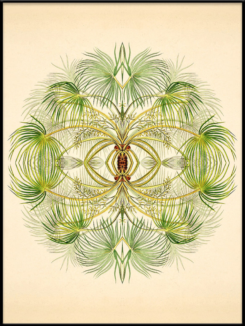 Botanical Reflection Limited Edition Print