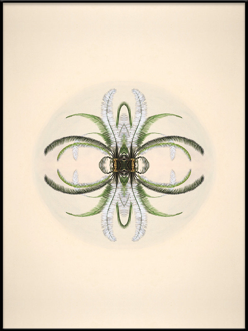Botanical Reflection Limited Edition Print
