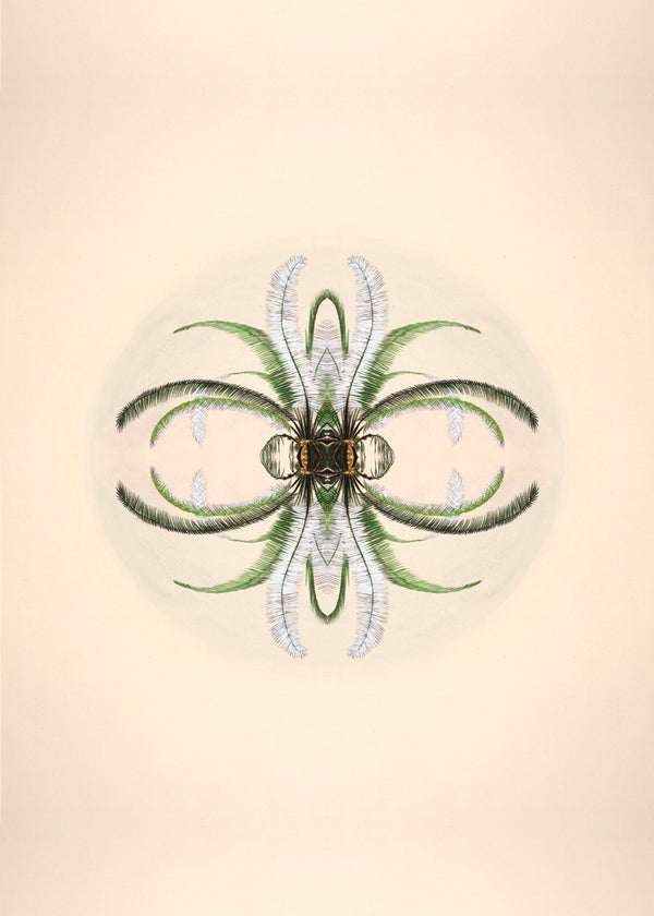 Botanical Reflection Limited Edition Print