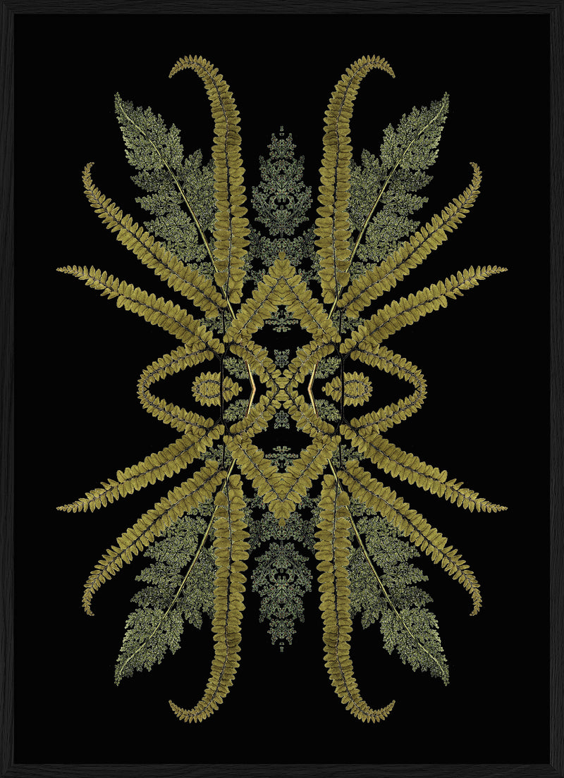Botanical Reflection Limited Edition Print