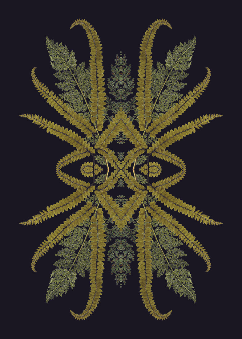 Botanical Reflection Limited Edition Print