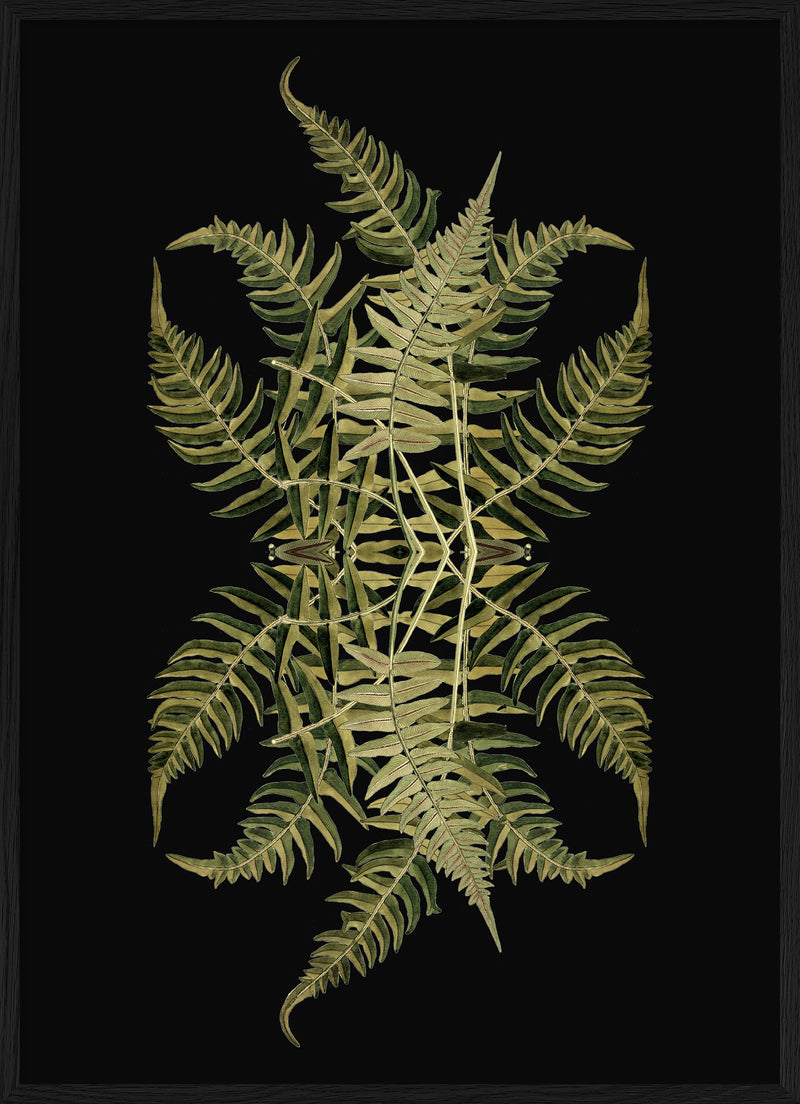 Botanical Reflection Limited Edition Print
