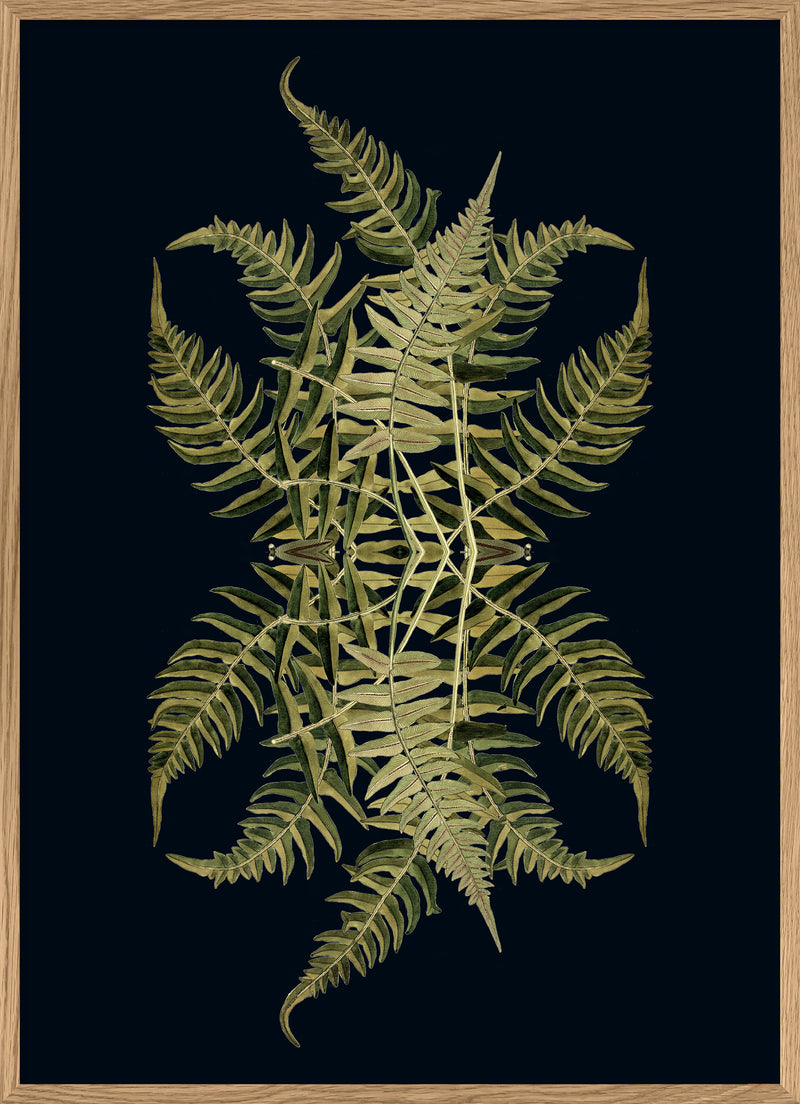 Botanical Reflection Limited Edition Print