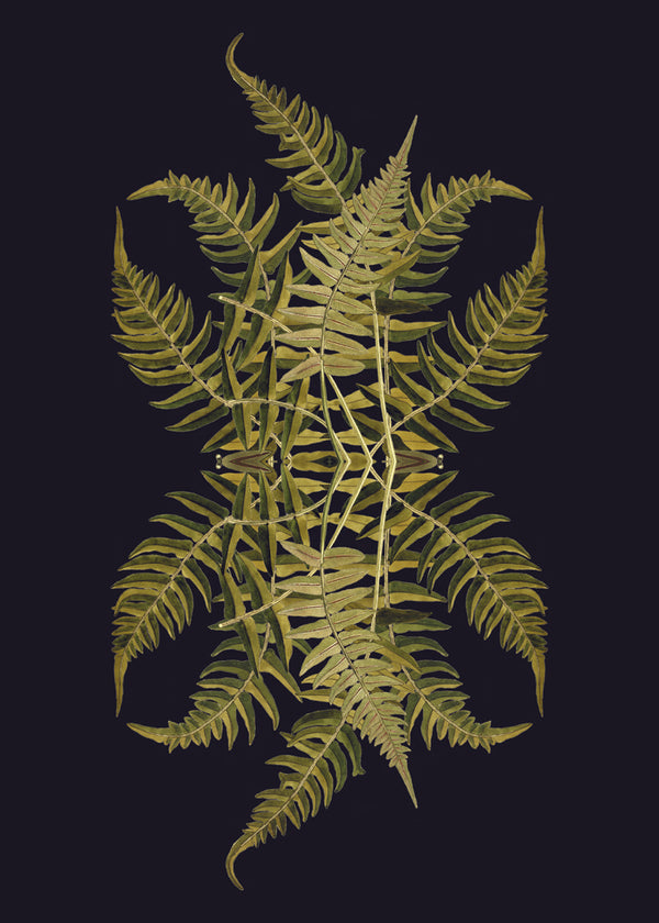 Botanical Reflection Limited Edition Print