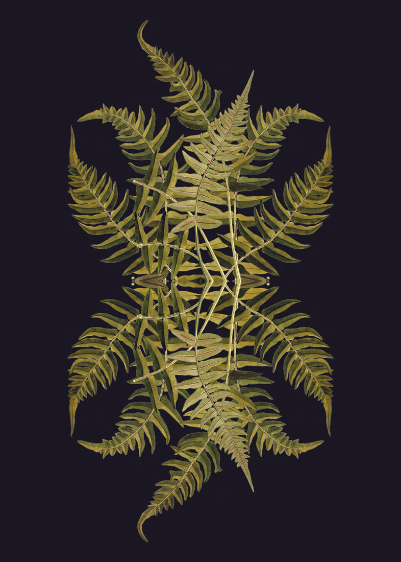 Botanical Reflection Limited Edition Print