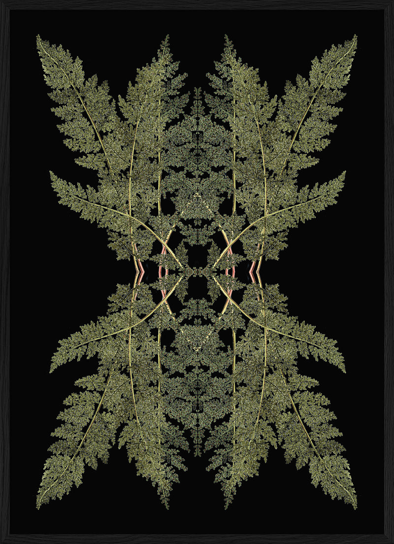 Botanical Reflection Limited Edition Print