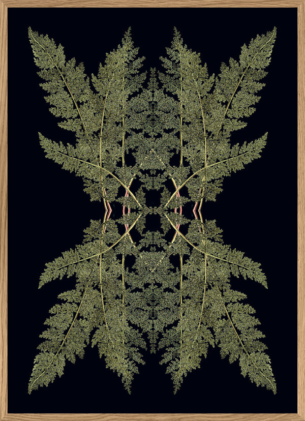 Botanical Reflection Limited Edition Print