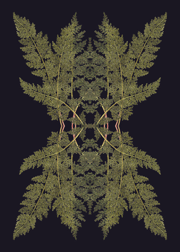 Botanical Reflection Limited Edition Print