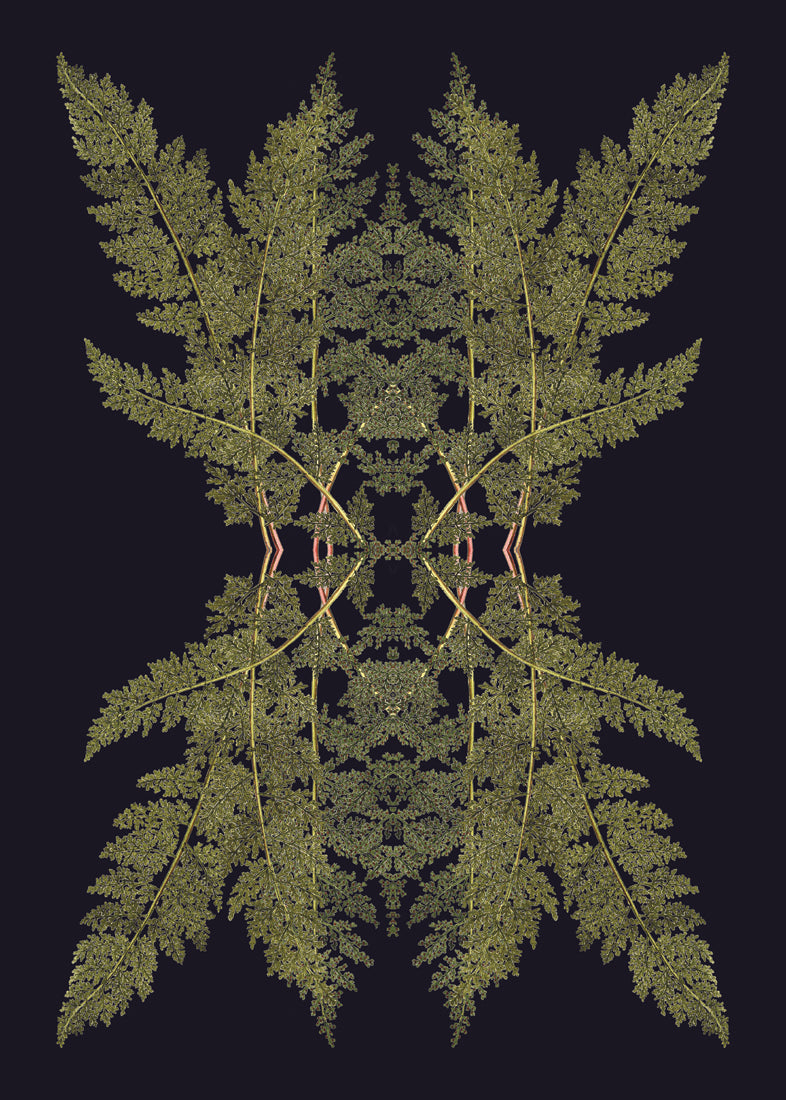 Botanical Reflection Limited Edition Print