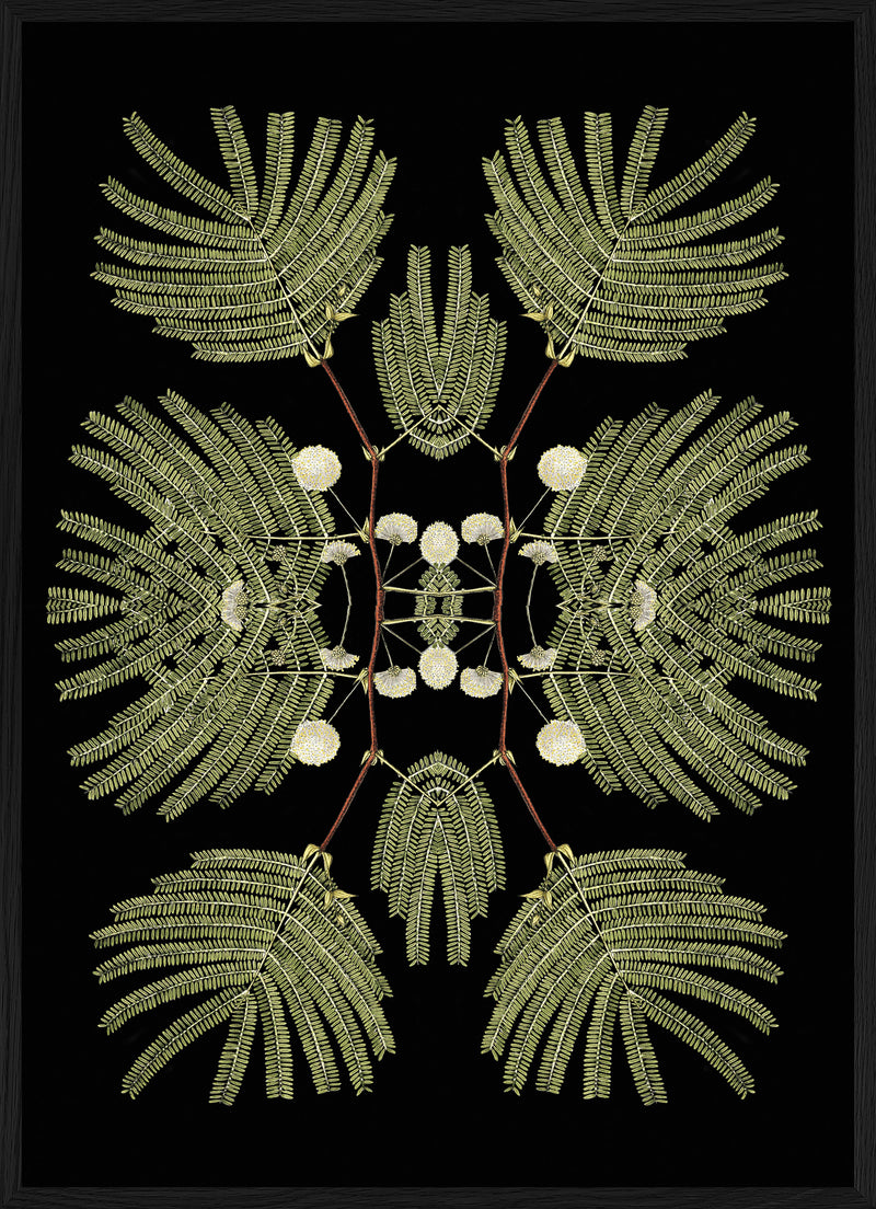 Botanical Reflection Limited Edition Print