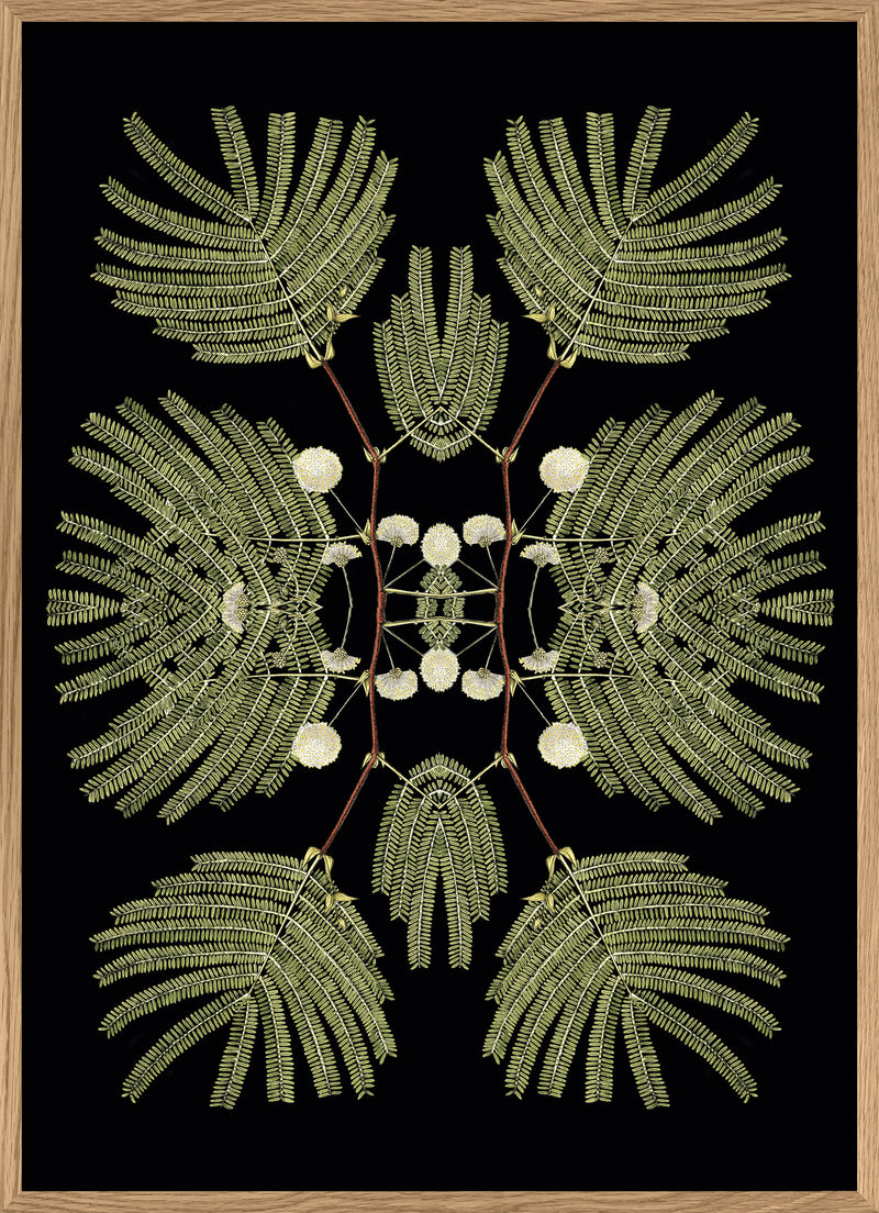 Botanical Reflection Limited Edition Print
