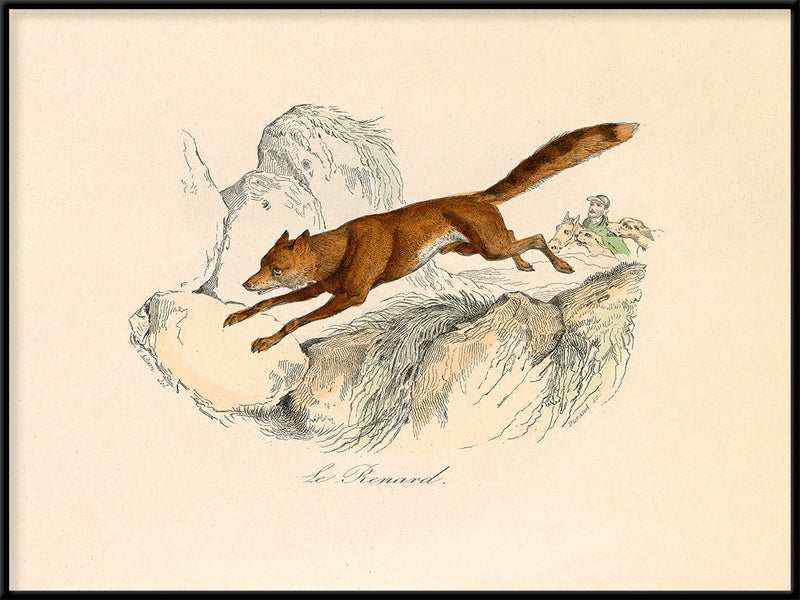 Le Renard