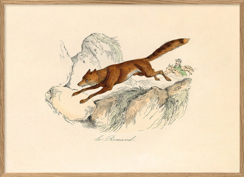 Le Renard