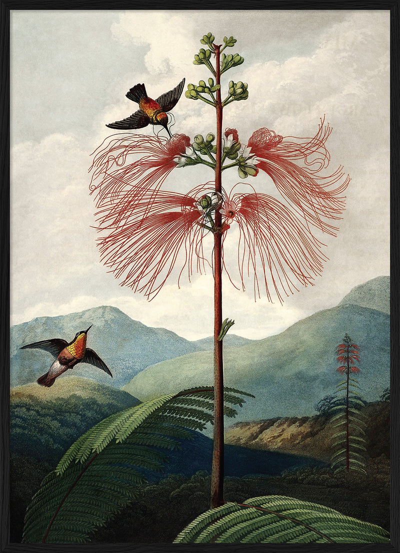 The Tree of Flowers