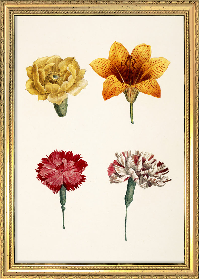 Compound Flower