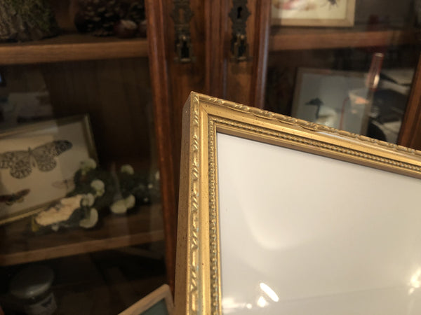 Gold Frames