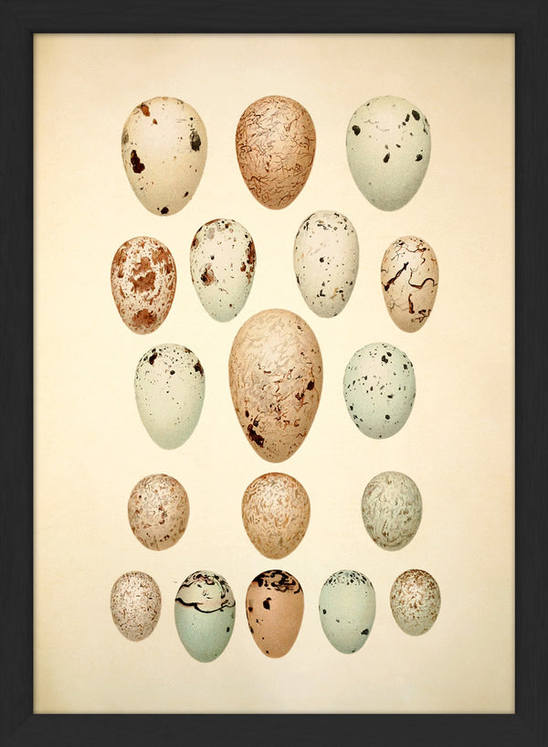 Eighteen Pastel Colored Eggs. Mini Print