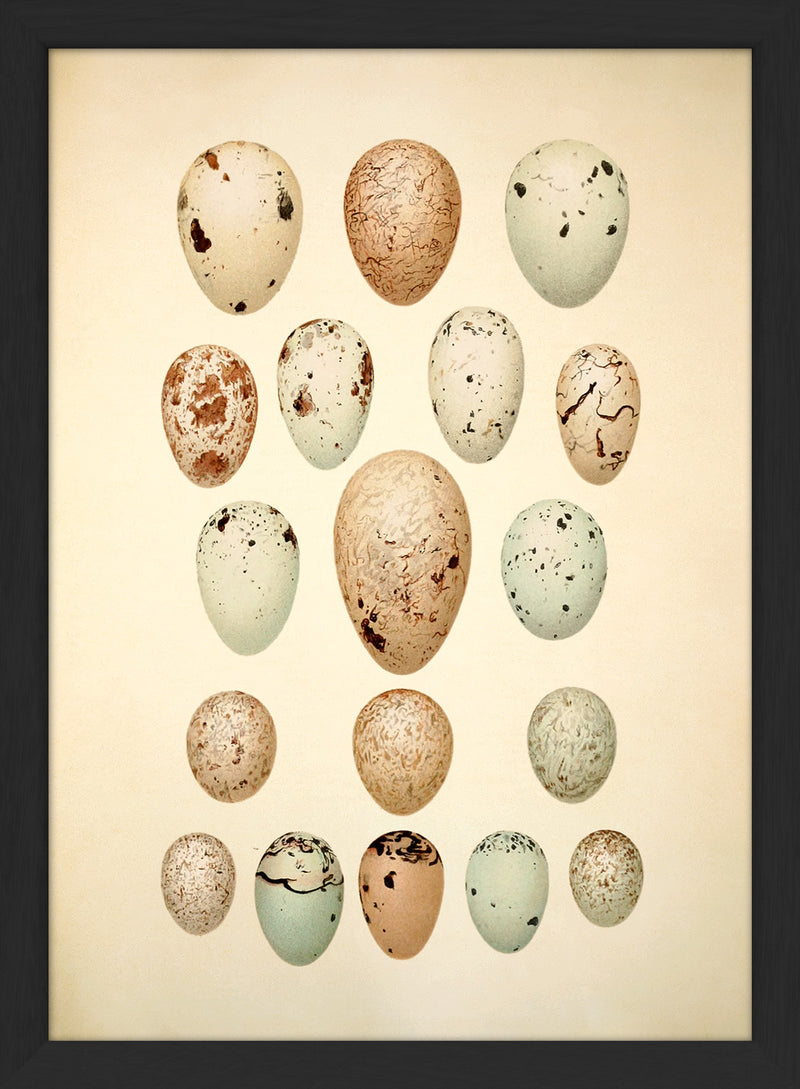Eighteen Pastel Colored Eggs. Mini Print