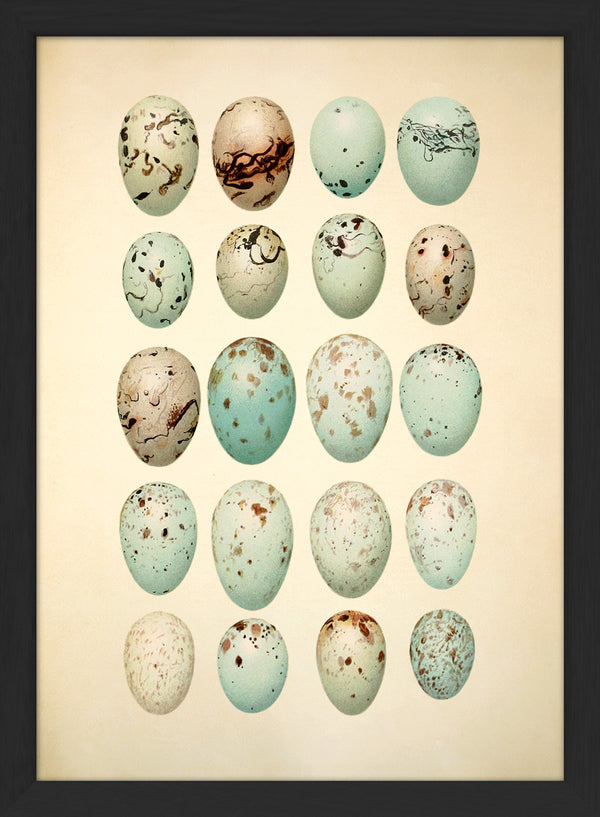 Twenty Light Blue Spotted Eggs. Mini Print