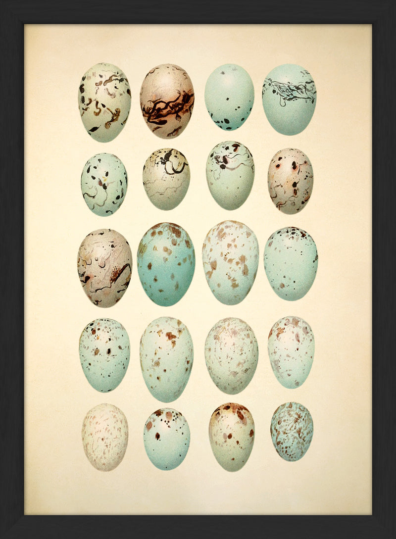 Twenty Light Blue Spotted Eggs. Mini Print