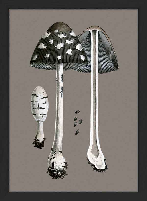 Fungi and details. Mini Print