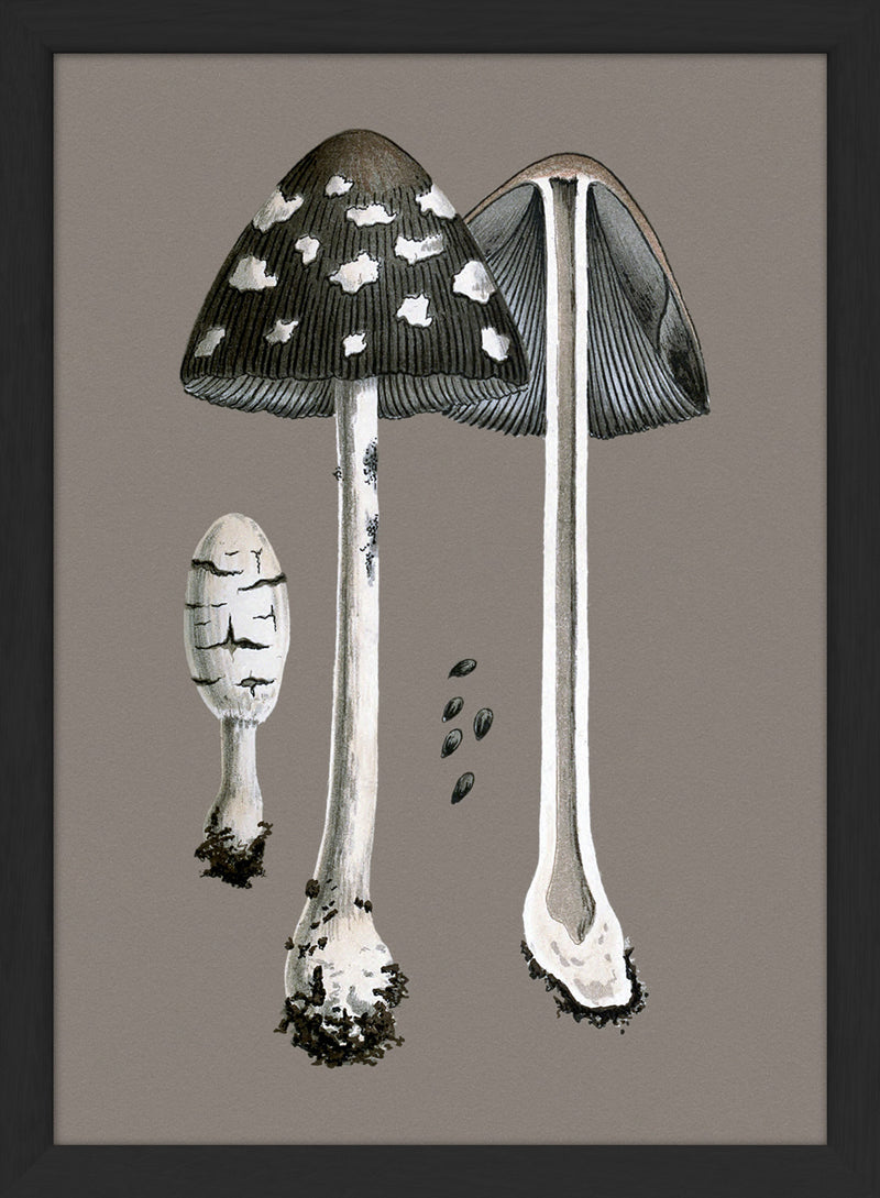 Fungi and details. Mini Print