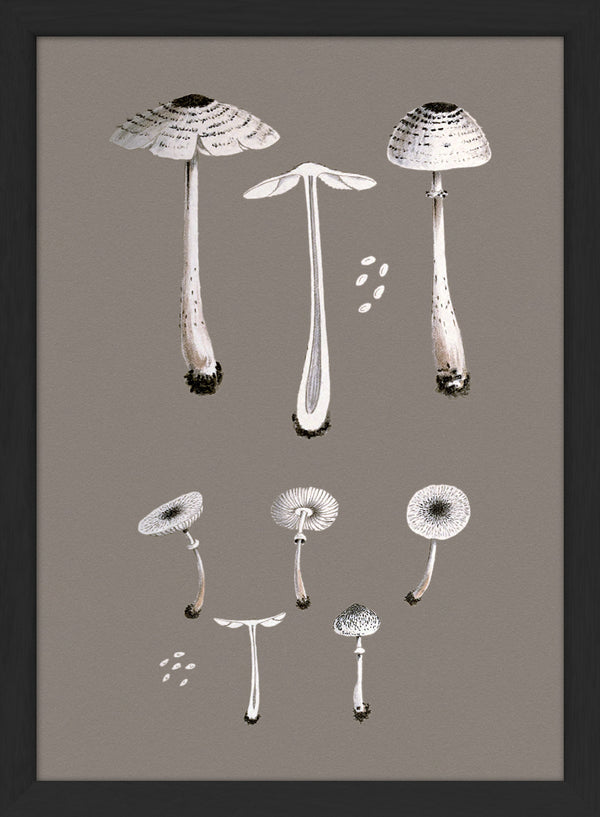 White Fungi and Details. Mini Print