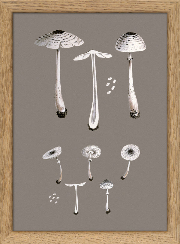 White Fungi and Details. Mini Print