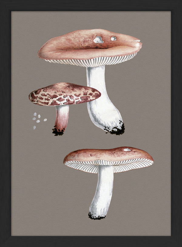 Small Fungi. Mini Print