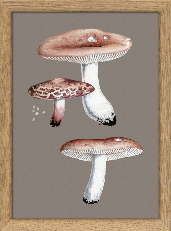 Small Fungi. Mini Print