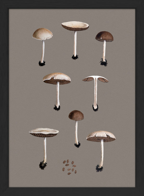 Group of Small Fungi and Details. Mini Print