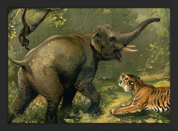 Elephant and Tiger. Mini Print