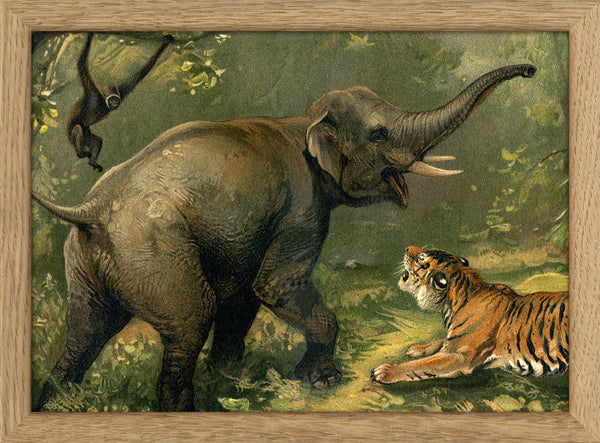 Elephant and Tiger. Mini Print