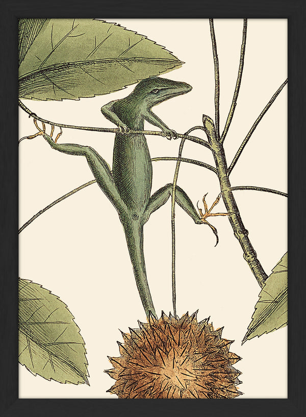Lizard and Sweet Gum Tree Close Up. Mini Print