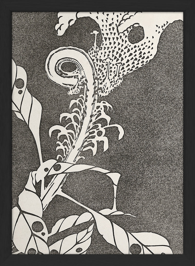 Natural Study XI. Mini Print